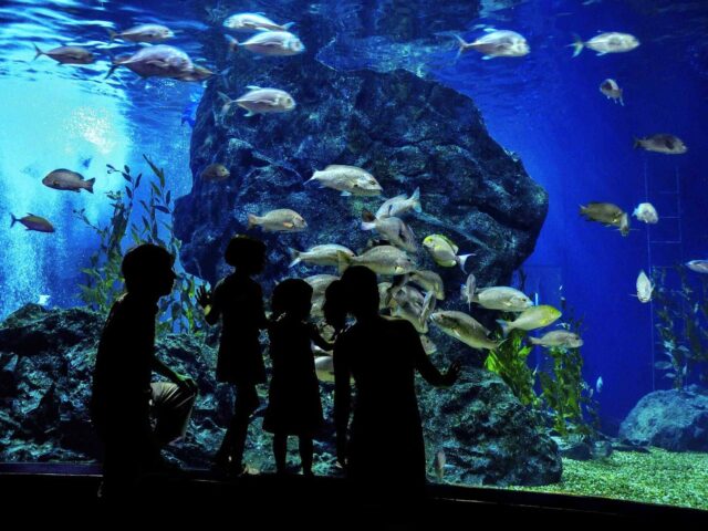 post_capetown_01 https://travelicious.axessdata.se/wp-content/uploads/2018/08/post_capetown_01-640x480.jpg