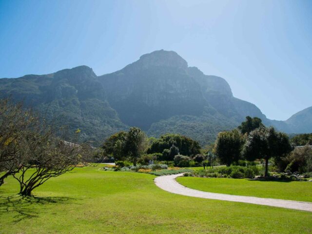 post_capetown_04 https://travelicious.axessdata.se/wp-content/uploads/2018/08/post_capetown_04-640x480.jpg