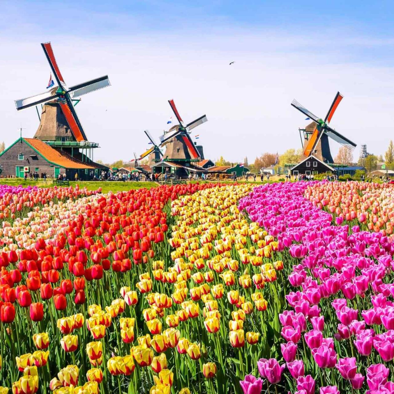 https://travelicious.axessdata.se/wp-content/uploads/2018/09/destination-netherlands-01-1280x1280.jpg