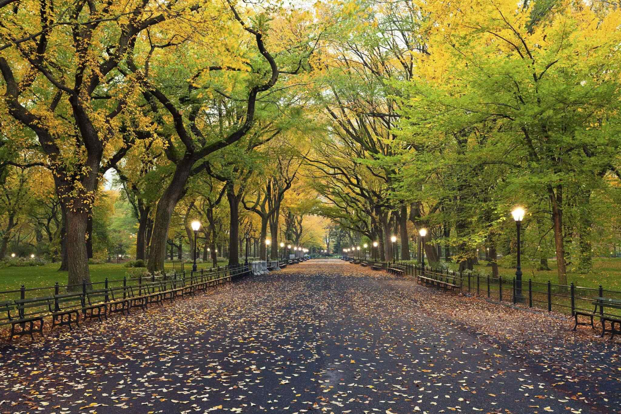 destination-new-york-02 https://travelicious.axessdata.se/wp-content/uploads/2018/09/destination-new-york-02.jpg