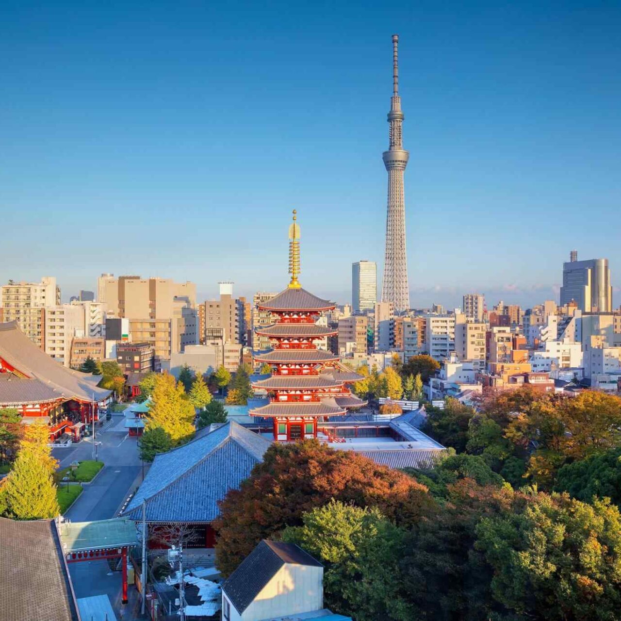 https://travelicious.axessdata.se/wp-content/uploads/2018/09/destination-tokyo-04-1280x1280.jpg