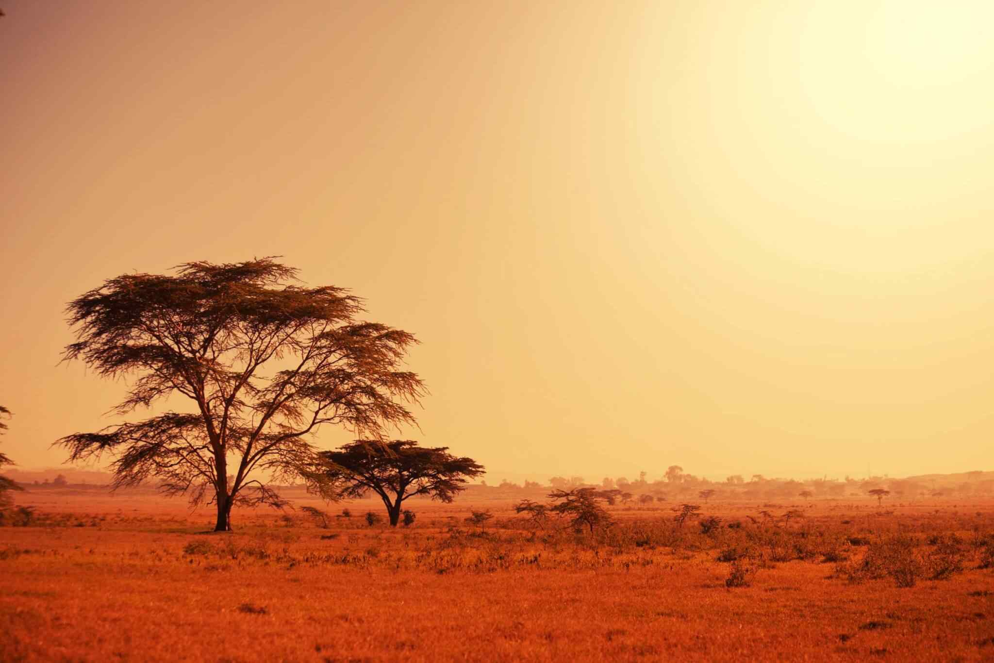 https://travelicious.axessdata.se/wp-content/uploads/2018/09/tour-africa-02.jpg