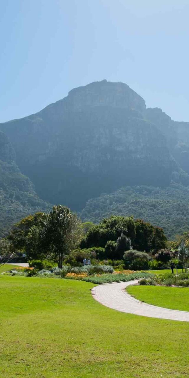 https://travelicious.axessdata.se/wp-content/uploads/2018/09/tour-capetown-03-640x1280.jpg
