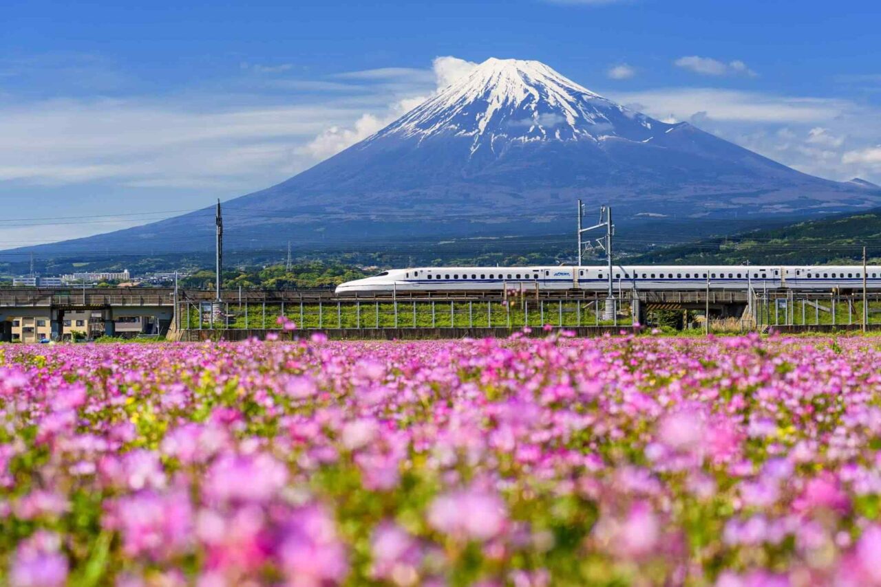 tour-osaka-04 https://travelicious.axessdata.se/wp-content/uploads/2018/09/tour-osaka-04-1280x854.jpg